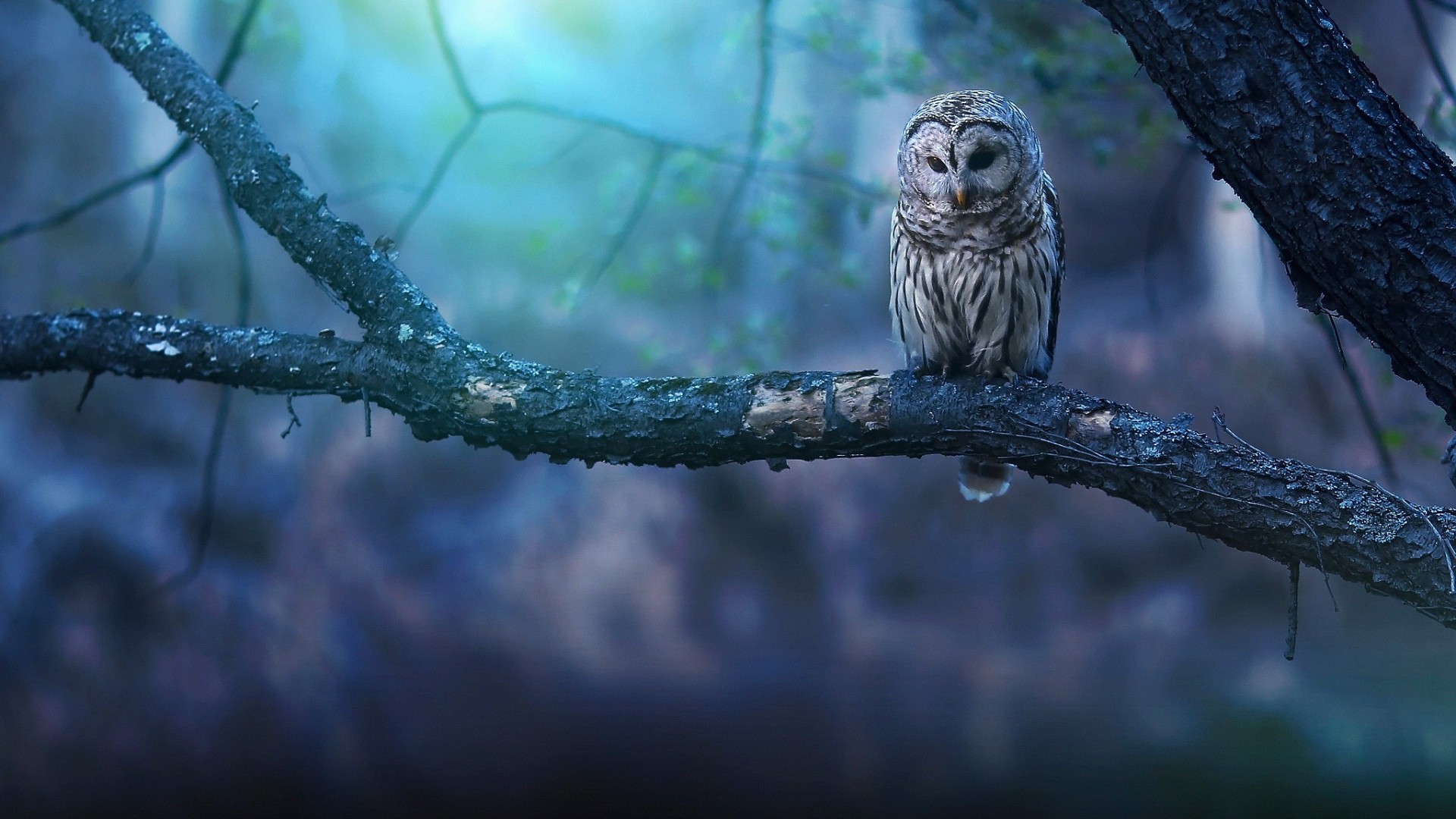 landing-img